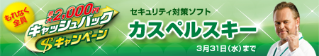 �J�X�y���X�L�[ �L���b�V���o�b�N�L�����y�[��