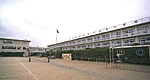大久保東小学校