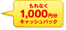 Ȃ1,000~LbVobN