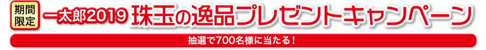 【期間限定】一太郎2019 珠玉の逸品プレゼントキャンペーン 抽選で700名様に当たる！