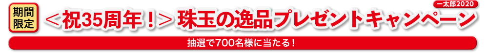 【期間限定】一太郎2020 ＜35周年＞珠玉の逸品プレゼントキャンペーン（全品ロゴ入りオリジナル賞品）
							抽選で700名様に当たる！