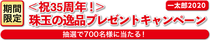 【期間限定】一太郎2020 ＜35周年＞珠玉の逸品プレゼントキャンペーン（全品ロゴ入りオリジナル賞品）
							抽選で700名様に当たる！