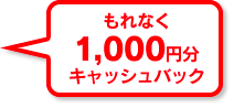 Ȃ1,000~LbVobN