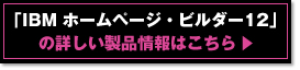 �uIBM�z�[���y�[�W�E�r���_�[12�v�̏ڂ������i���͂�����