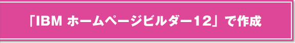 �uIBM�z�[���y�[�W�E�r���_�[12�v�ō쐬
