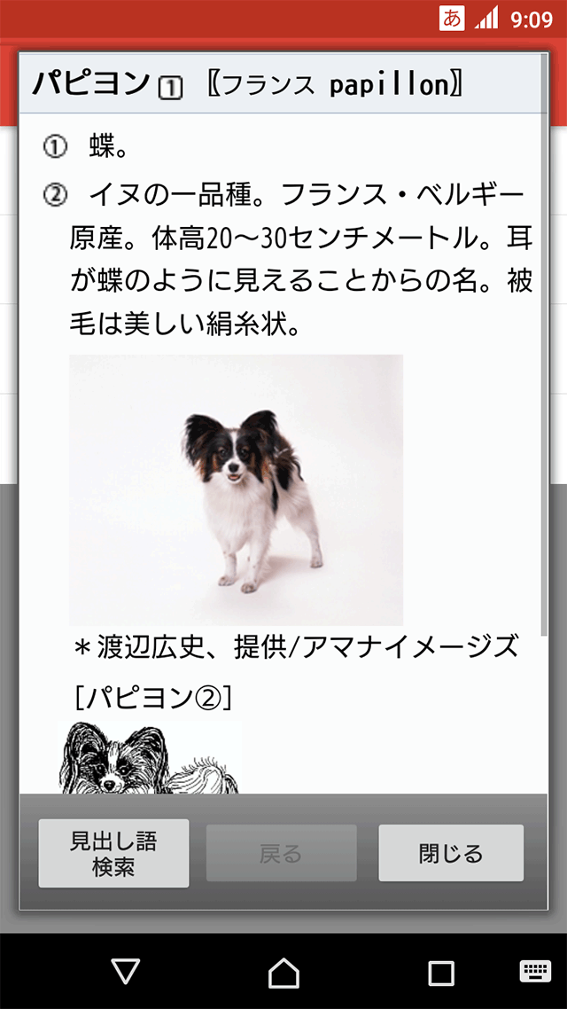 詳細表示