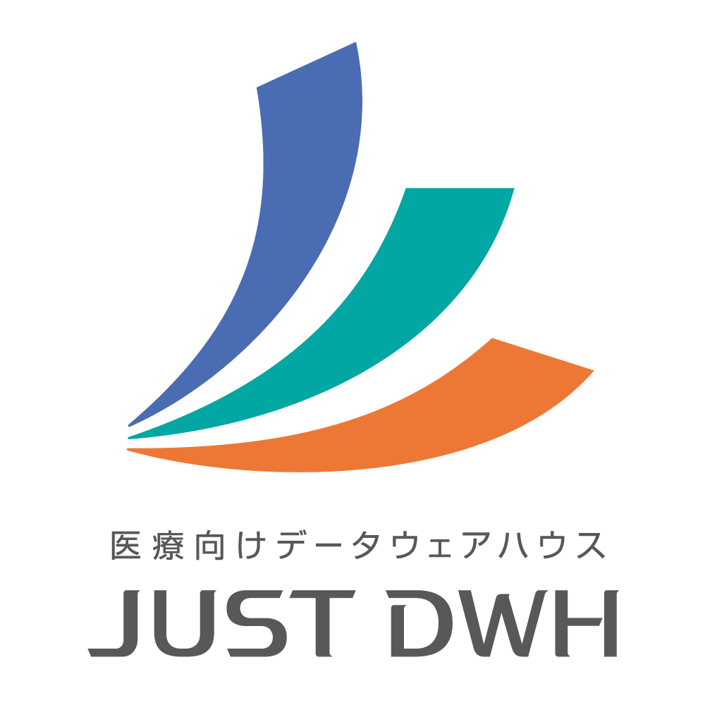 JUST DWH
