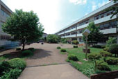 水沢小学校