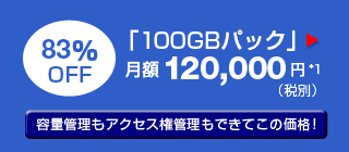 「100GBパック」月額120,000円（税別）